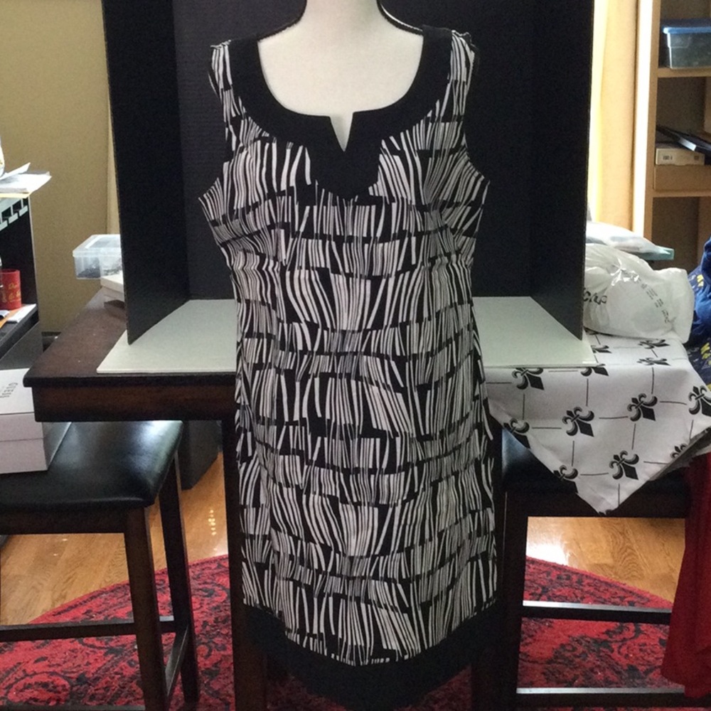 Black & White Sleeves Midlength Dress with Small Slit Vneck and Black Bottomband